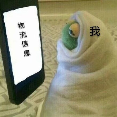 ˫ʮһ���Ƶȿ�ݵı���� �����Ҫȥ������