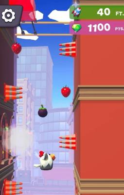 小鸡快跑Z 小鸡快跑Z