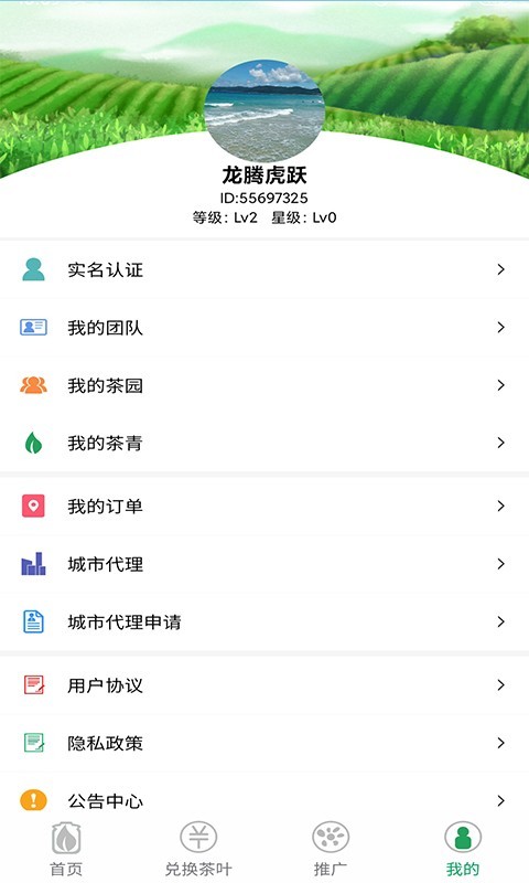 链上茶园 链上茶园