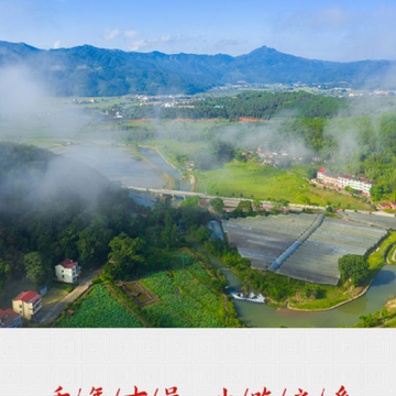 这里是沙县 这里是沙县