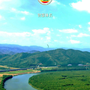 �ǻ��ֳ�