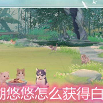 江湖悠悠怎么获得白芍 白芍获取方法一览 江湖悠悠怎么获得白芍 白芍获取方法一览