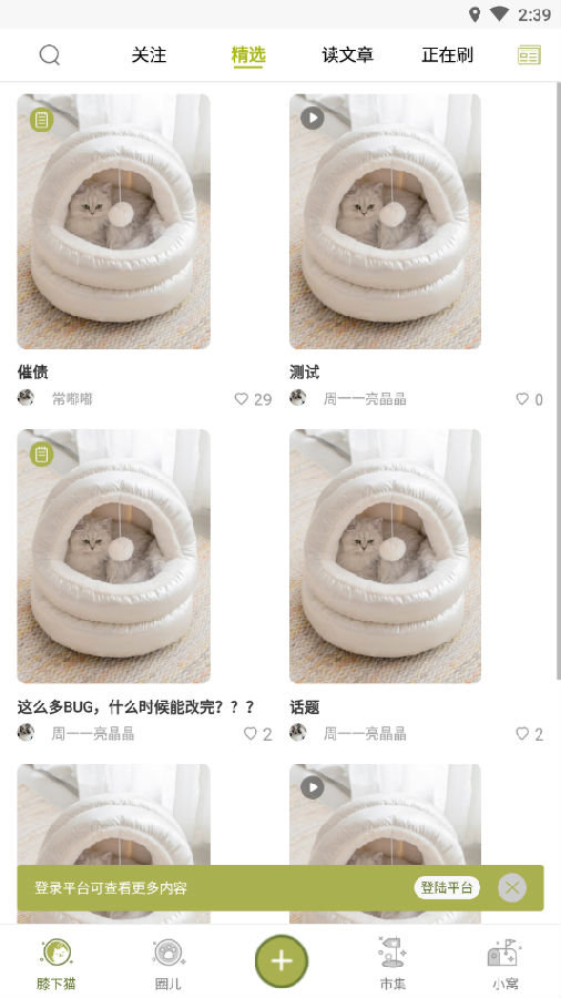 膝下猫(云吸猫) 膝下猫(云吸猫)