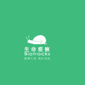 �����۲�app