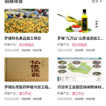 投资河池 投资河池