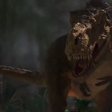 �����������2����