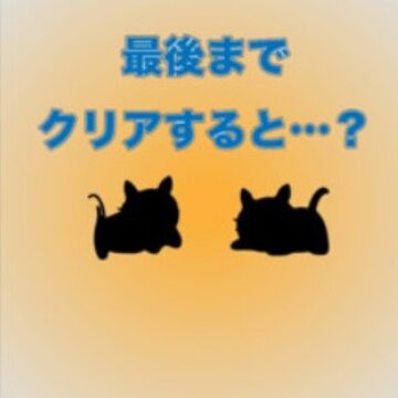 猫咪不见了 猫咪不见了