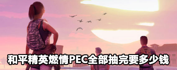 ��ƽ��Ӣȼ��PECȫ������Ǯ ��ƽ��Ӣȼ��PECȫ����������Ǯ