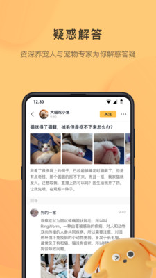 云养猫 云养猫