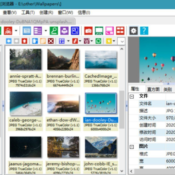 XnViewMP��ǿ�ƽ��(��ע��)