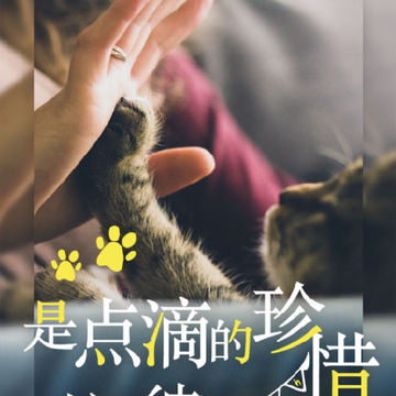 kokƽ̨(����ﱸ)