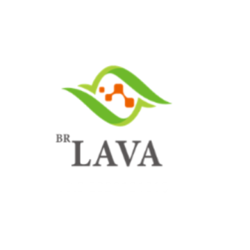 ȼʯLAVA����app