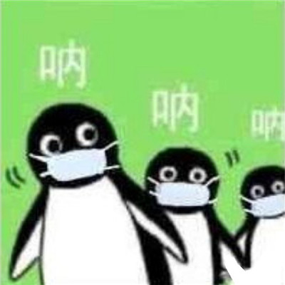 suica企鹅可爱的微信表情包大全