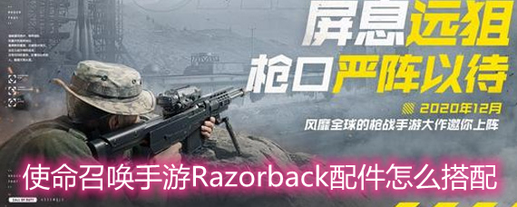ʹ���ٻ�����Razorback�����ô���� Razorback�������ָ��