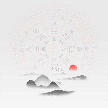 �쿴����