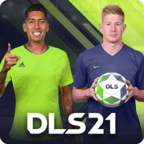 DLS20(�λ���������2021���޽�Ұ�)v8.00 ��ȸ��
