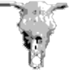 headus 3D tools(��άɨ����񹤾�)v2.10.03 ��Ѱ�