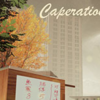 Carperation�����ⰲװ��