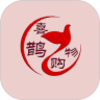 ϲȵ����appv1.0.0.0 ��׿��
