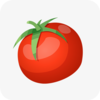 ������С˵appv1.1 ��׿��