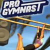progymnastרҵ���ѡ�ּ�������Ӳ�̰�