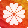 DIY��̬��ֽ��ȫappv3.1.1 ��Ѱ�