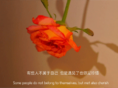 ���ϵ��κ�ʵ�ڵĸ���ǩ��  ��һ�޶��ļ��ǩ��
