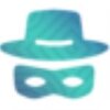 Starus Web Detectivev2.4 ���İ�