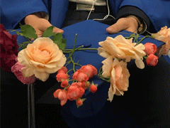 �����ļ������������ı��ض̾� ����ҹ�ι鴺��������