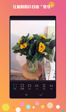 �����������app