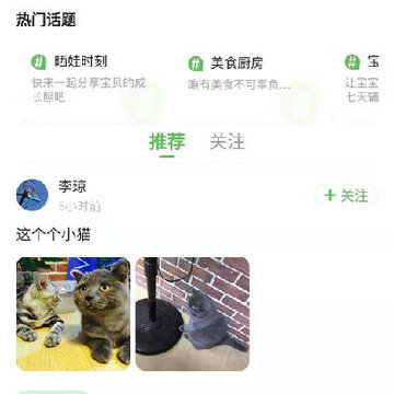 逻辑狗 逻辑狗