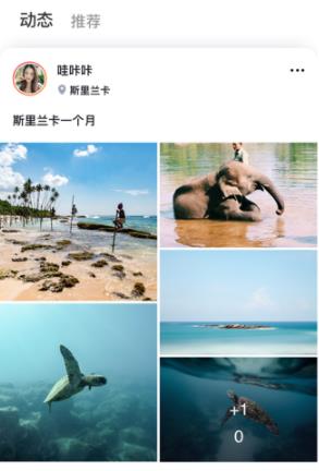 ��������app