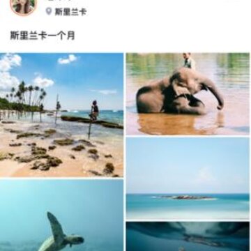 ��������app