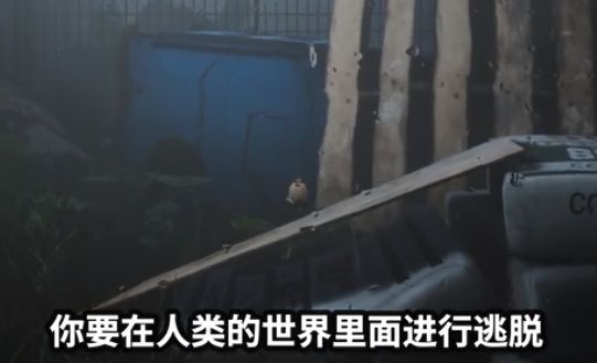 keep out手游 keep out手游