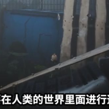 keep out����