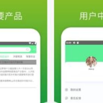 金花茶 金花茶