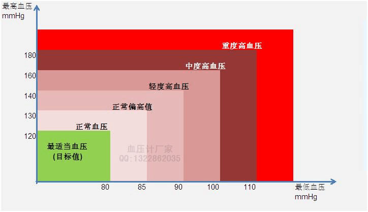 血压小本 血压小本