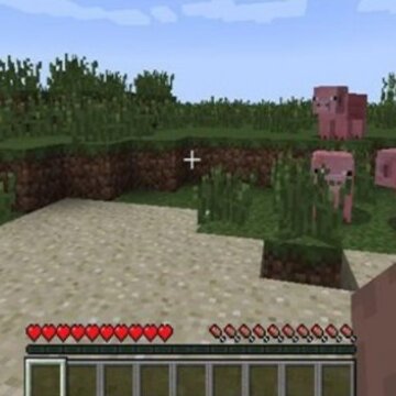 我的世界互通版 我的世界互通版