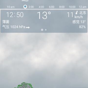 YoWindowʵ������