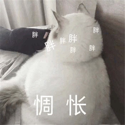 ������Цɳ�������ϼ� 2020����΢�Ÿ�Ц�����