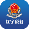 ����˰�񡤰�˰ͨappv1.15 ��׿��