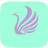 E�ҿ���v1.0.0 ��׿��