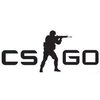 CSGO�ȶ�������͸�Ӹ���v1.0 ��Ѱ�