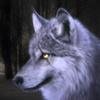 UltimateWolf(��ģ�����޸İ�)v1.1.2 ��׿��