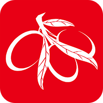 ���彧appv1.1.5 ���°�