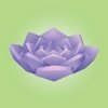 ����ģ�������İ�ios��v1.5.1 iphone/ipad�汾