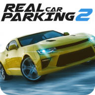 Real Car Parking 2(��ʵͣ��2�ƽ��)v3.0.1 ��׿��
