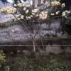 ���佭���޸İ�v1.0 ��׿��