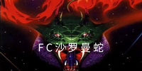 FCɳ������