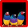 ViewSonic ViewSplit(���ɷ�������)v1.0.0 �ٷ���